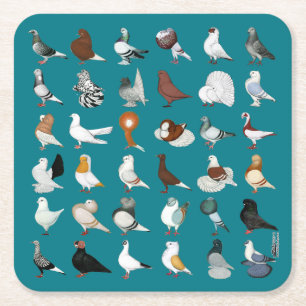 Dessous-de-verre Carré En Papier 36 races de pigeon