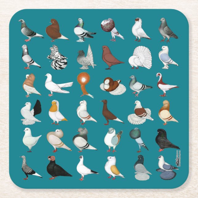 Dessous-de-verre Carré En Papier 36 races de pigeon (Devant)