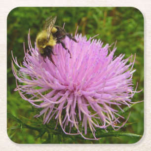 Dessous-de-verre Carré En Papier Abeille sur Fleur de Chardon Nature
