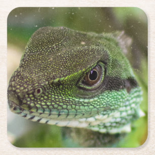 Dessous-de-verre Carré En Papier Agama, lézard