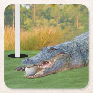 Dessous-de-verre Carré En Papier Alligator, mensonge dangereux sur le terrain de
