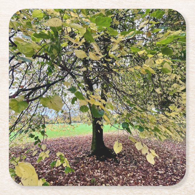 Dessous-de-verre Carré En Papier An autumn walk (Devant)