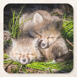 Dessous-de-verre Carré En Papier Animaux de bébés cutest Baby Red Fox Kits Sleepi