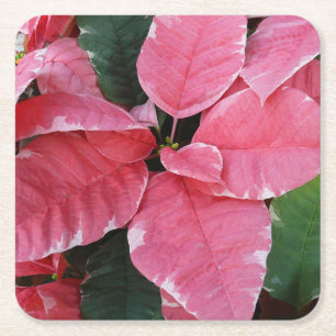 Dessous-de-verre Carré En Papier Argent Star Marbre Poinsettias Pink Holiday Floral