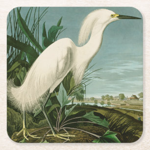 Dessous-de-verre Carré En Papier Audubon Héron de neige Oiseaux d'aigrettes blanche