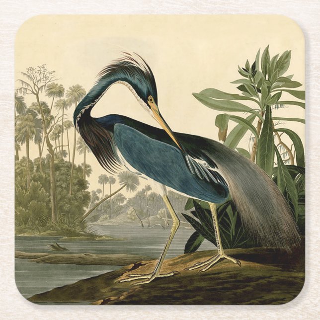 Dessous-de-verre Carré En Papier Audubon Louisiana Heron Birds America Art (Devant)