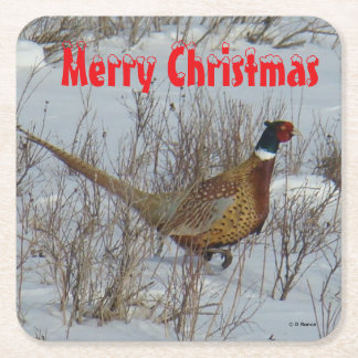 Dessous-de-verre Carré En Papier B23 Ring Necked Pheasant in Snow Coaster