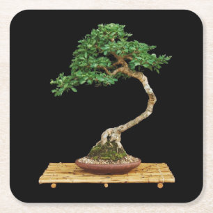 Dessous-de-verre Carré En Papier Beau Dessous de verre Bonsai Tree