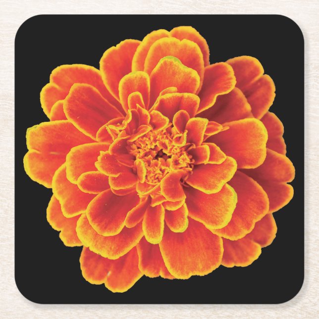 Dessous-de-verre Carré En Papier Beau Dessous de verre Marigold (Devant)