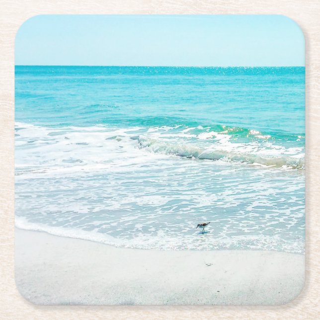 Dessous-de-verre Carré En Papier Bécasseau de sable de Floride (Devant)