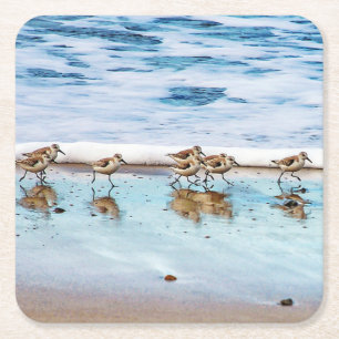 Dessous-de-verre Carré En Papier Bécasseaux fonctionnant le long de la plage