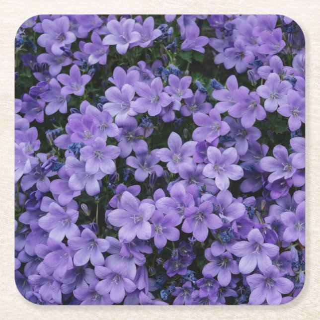 Dessous-de-verre Carré En Papier Belles fleurs violettes (Devant)