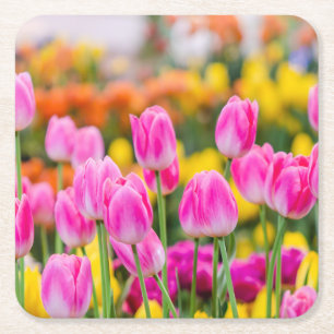 Dessous-de-verre Carré En Papier Belles tulipes roses