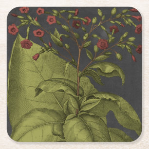Dessous-de-verre Carré En Papier Besler Dramatique I
