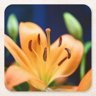Dessous-de-verre Carré En Papier Blossom orange Lilly