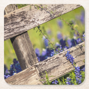 Dessous-de-verre Carré En Papier Bluebonnets de Texas autour d'une barrière de pay