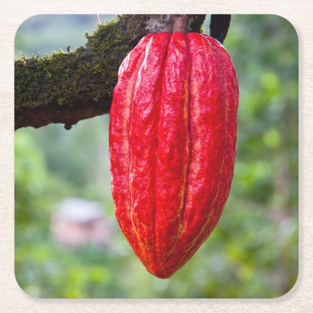 Dessous-de-verre Carré En Papier boîte de cacao rouge (Devant)