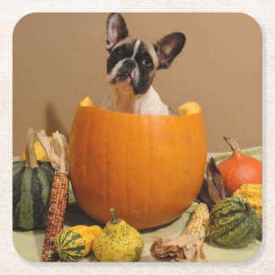 Dessous-de-verre Carré En Papier Bouledogue français Halloween French Bulldog