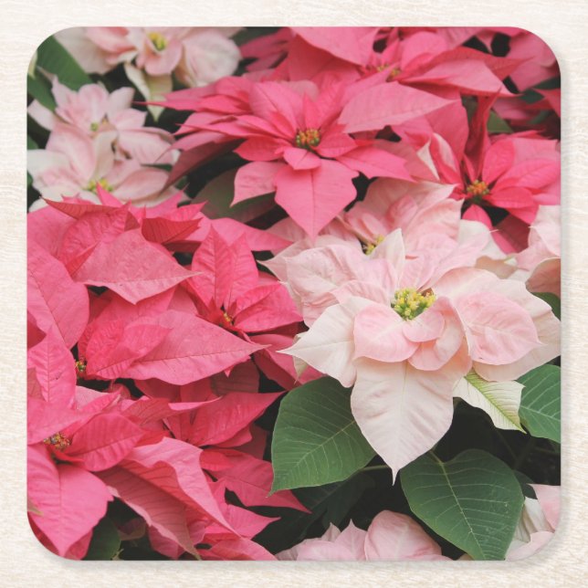 Dessous-de-verre Carré En Papier Bouquet Poinsettias Rose (Devant)