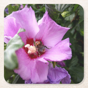 Dessous-de-verre Carré En Papier Bumblebebe sur la fleur d'Hibiscus