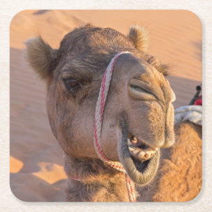 Dessous-de-verre Carré En Papier Camel amusant