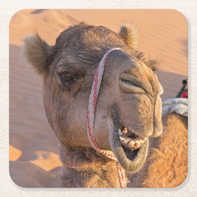 Dessous-de-verre Carré En Papier Camel amusant (Devant)