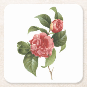 Dessous-de-verre Carré En Papier camélia commune (Camellia japonica) par Redouté