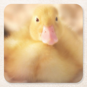 Dessous-de-verre Carré En Papier Canard Jaune Fuzzy Bébé de Pâques Canard