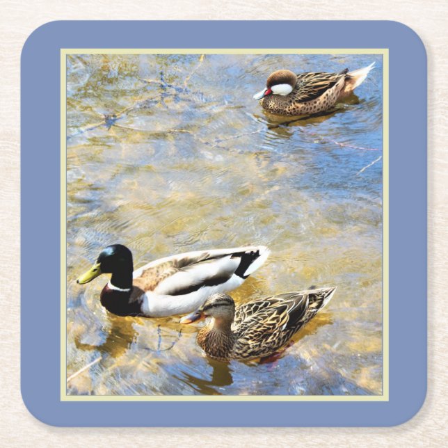 Dessous-de-verre Carré En Papier Canards (Devant)
