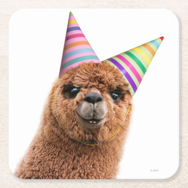 Dessous-de-verre Carré En Papier Casquettes du parti Alpaca (Devant)