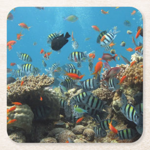 Dessous-de-verre Carré En Papier Chaos tropical de poissons