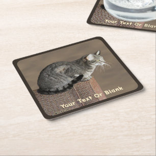 Dessous-de-verre Carré En Papier Chat Tabby Gris Fumé
