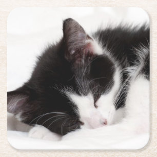 Dessous-de-verre Carré En Papier Chaton de sommeil