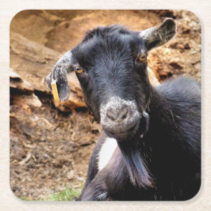 DESSOUS-DE-VERRE CARRÉ EN PAPIER CHÈTES