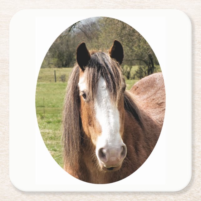DESSOUS-DE-VERRE CARRÉ EN PAPIER CHEVAL (Devant)