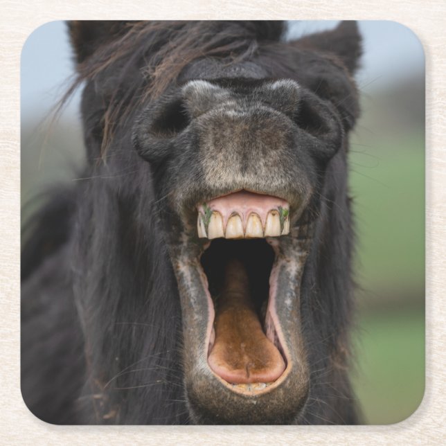 Dessous-de-verre Carré En Papier Cheval Montrant Ses Dents (Devant)