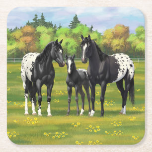 Dessous-de-verre Carré En Papier Chevaux Appaloosa Noir Dans Les Pâturages D'Été