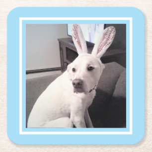Dessous-de-verre Carré En Papier Chien blanc mignon avec lapin de Pâques oreilles b