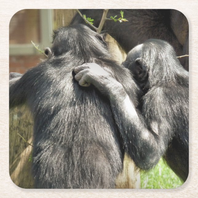 DESSOUS-DE-VERRE CARRÉ EN PAPIER CHIMPANZÉS (Devant)