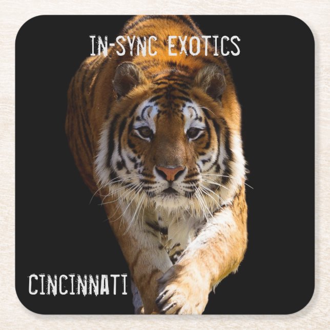 Dessous-de-verre Carré En Papier Cincinnati Tiger - (Devant)