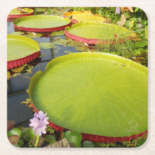 Dessous-de-verre Carré En Papier Coaster de Lily Pads
