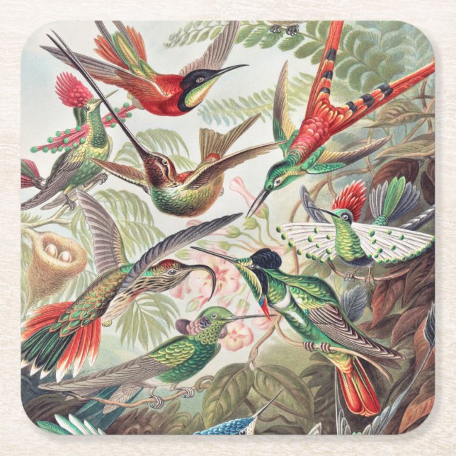 Dessous-de-verre Carré En Papier Colibri, Trochilidae Kolibris par Ernst Haeckel (Devant)