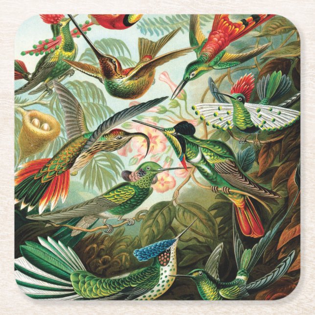 Dessous-de-verre Carré En Papier Colibris par Ernst Haeckel (Devant)