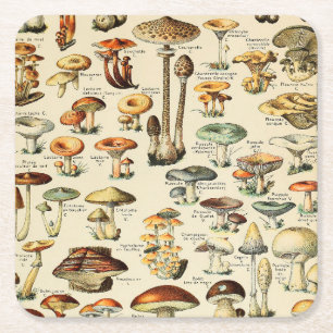 Dessous-de-verre Carré En Papier Collection de champignons 