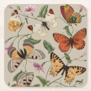 Dessous-de-verre Carré En Papier Collection de la papillon Moth Nature Dessin