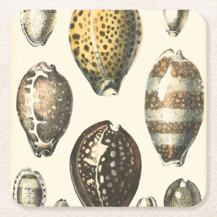 Dessous-de-verre Carré En Papier Coquillages uniquement formés