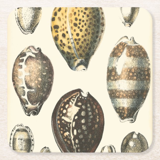 Dessous-de-verre Carré En Papier Coquillages uniquement formés (Devant)