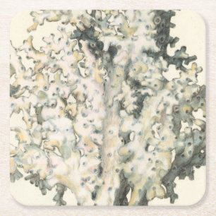 Dessous-de-verre Carré En Papier Corail d'aquarelle antique