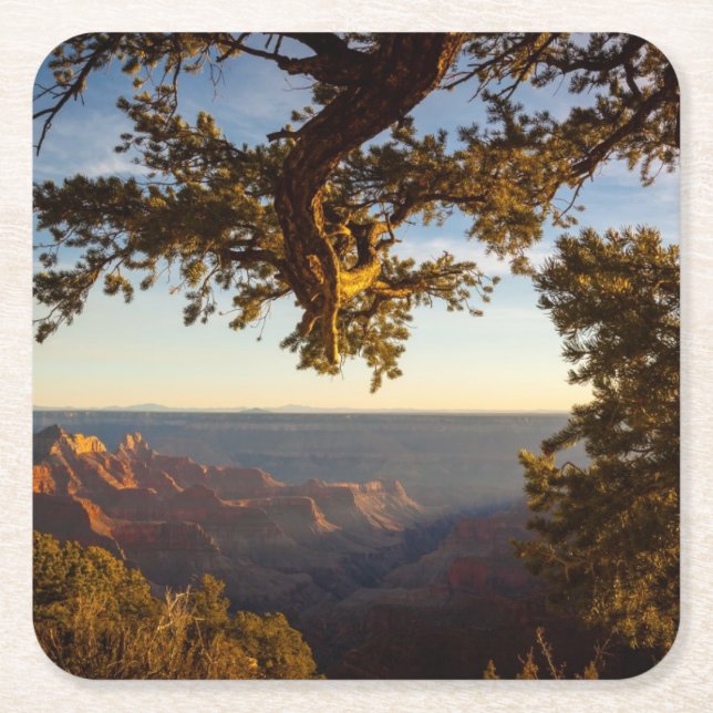 Dessous-de-verre Carré En Papier Coucher du soleil au-dessus de canyon grand (Devant)