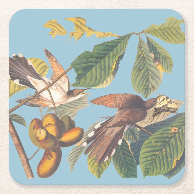 Dessous-de-verre Carré En Papier Coucou à bec jaune Audubon (Devant)